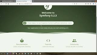Symfony 5 - How to set up a local webserver and a local proxy ?