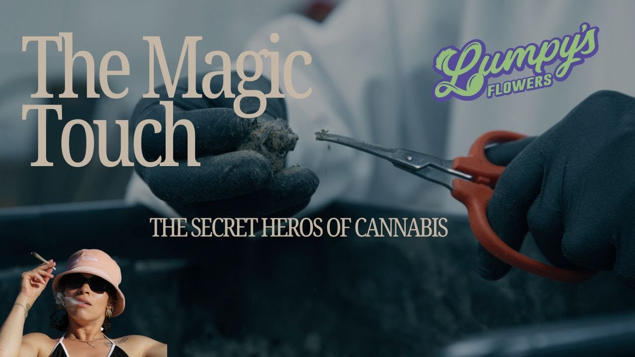 Trimming and Curing - FULL Episode: 5 of Crafting Cannabis by Lumpy's Flowers