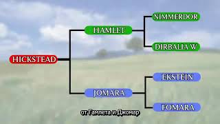 Хикстед,легенда конкура!Краткий документальный фильм о великом коне! Хикстед,легенда конкура!Краткий документальный фильм о великом коне!