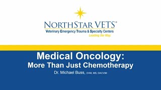 Veterinary Oncology Innovations: Exploring New Treatments with Dr. Michael Buss by NorthStar VETS 841 views 9 months ago 20 minutes