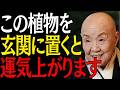 【99%は知らない】玄関に置くと恐ろしいほど運気が上がる観葉植物３選｜偉人｜朗読｜人生哲学｜人間関係｜瀬戸内寂聴｜