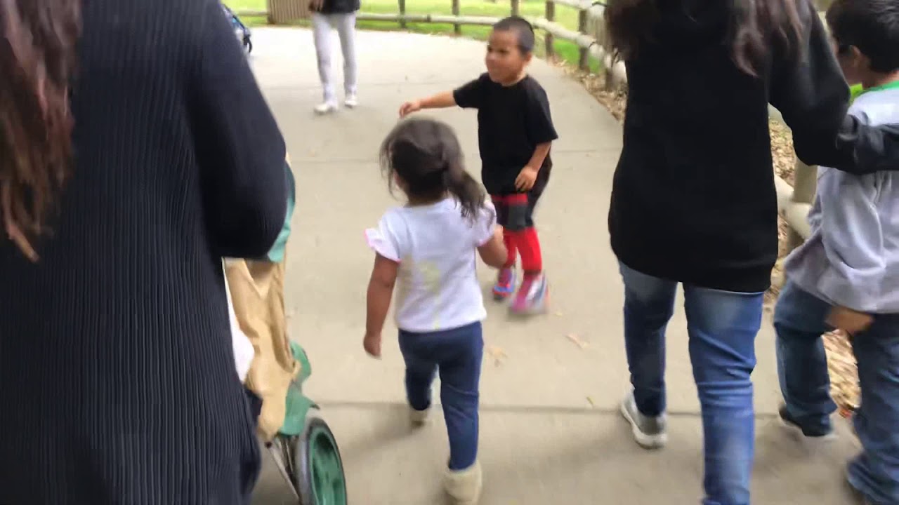 A Day At The Zoo - YouTube