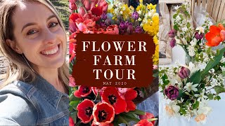 May Farm Tour + Is it easy to use a Cricut?