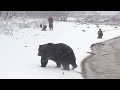 О «главных рыбаках» | Новости Камчатки | Происшествия | Масс Медиа