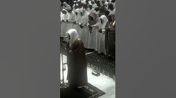 تلاوة جميلة للشيخ ياسر الدوسري #ياسر_الدوسري #قرآن #اكسبلور