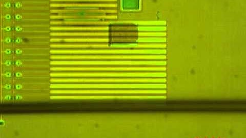 Untethered Scratch Drive Actuators