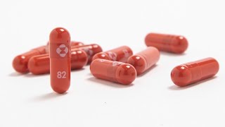 Some local Walmart and Sam's Club pharmacies now selling new COVID-19 antiviral pills