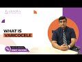Understanding Male Fertility Issues | Varicocele | Genova