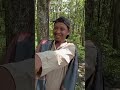 "Don't Hide from This Forest Monster! 😱 | Funniest Horror Twist"