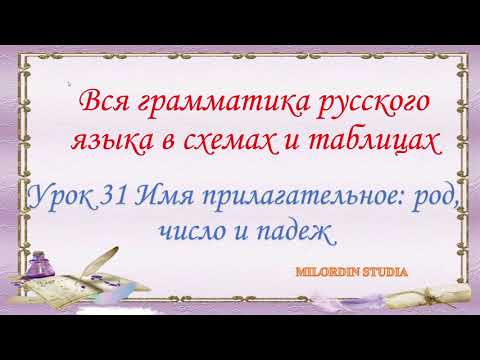 Грамматика русского языка Урок 31 Имя прилагательное род, число и падеж