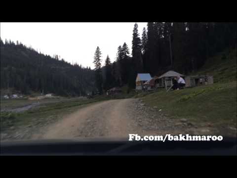 პიონერის ქუჩა