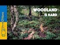 Bronica SQ and Ektar - forest photography