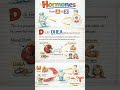 D is for DHEA - Dehydroepiandrosterone | Hormones from A to Z