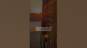 #قران_كريم #قرآن #تلاوة_خاشعة #الموت #التوبة #اكسبلور #لايك #لايك