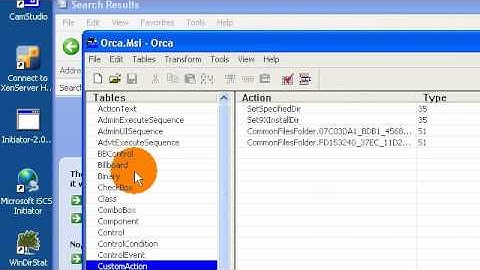 Microsoft Installer: Custom Action sequence of Microsoft Installer