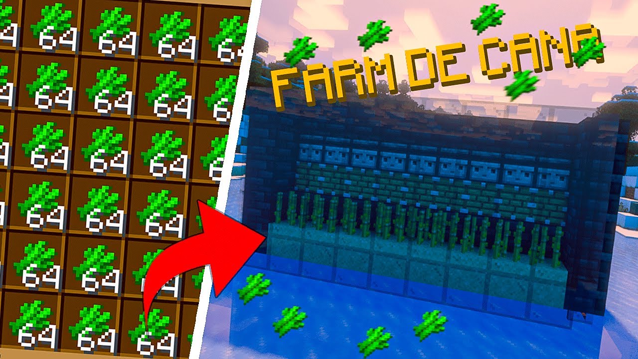 Farm de CANA fácil do minecraft 1.21 (Java & Bedrock) - Tutorial - YouTube