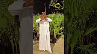 12 أكتوبر، 2025