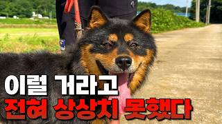 이 블랙탄은 아직 더 지켜봐야 될 것 같습니다.