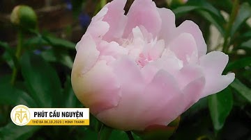 Phút Cầu Nguyện, Thứ Ba 06/10/2020: Cùng Mẹ Thưa Tiếng Xin Vâng