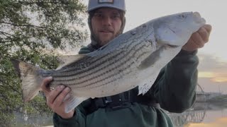 Sacramento River Striper fishing 2026 with old school baitcaster will it work