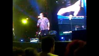 halid besic novi becej