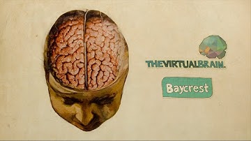 The Virtual Brain - Explainer Video [updated]