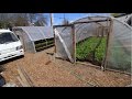 Cheap, Lean and DIY Greenhouses