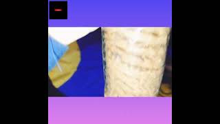 Choco Chips Happy Happy Biscuit Big Pack