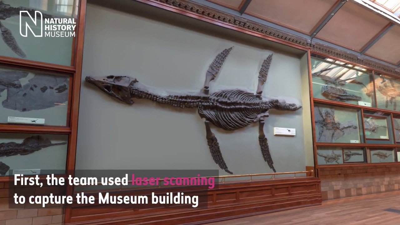 Rhomaleosaurus Creating a virtual reality sea dragon Natural History