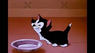 Figaro & Cleo Opening