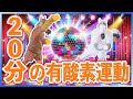 【本気の20分！汗だく脂肪燃焼🔥】お家でできる全力有酸素運動💦 #12