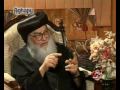 حقيقه ماكس ميشيل   نجومي