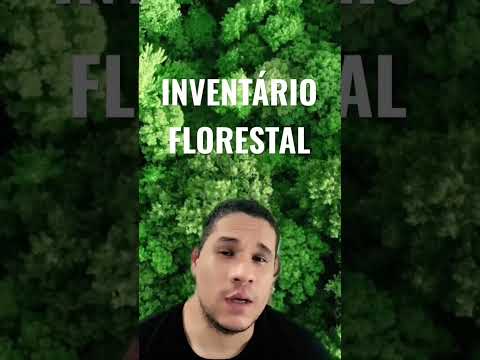 Vídeo: O que é uma floresta florestal?