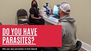 Parasites In Live Blood