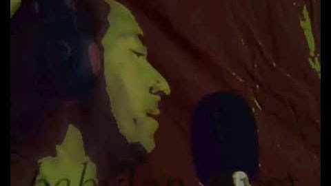 Babylon Must Fall - Radical Gee