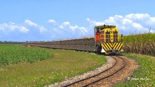 Proserpine Mills Diesel Hydraulics