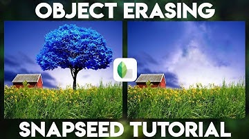 How to erase unwanted objects from photos using Snapseed ׀ Image editing tutorial ׀ Easy trick