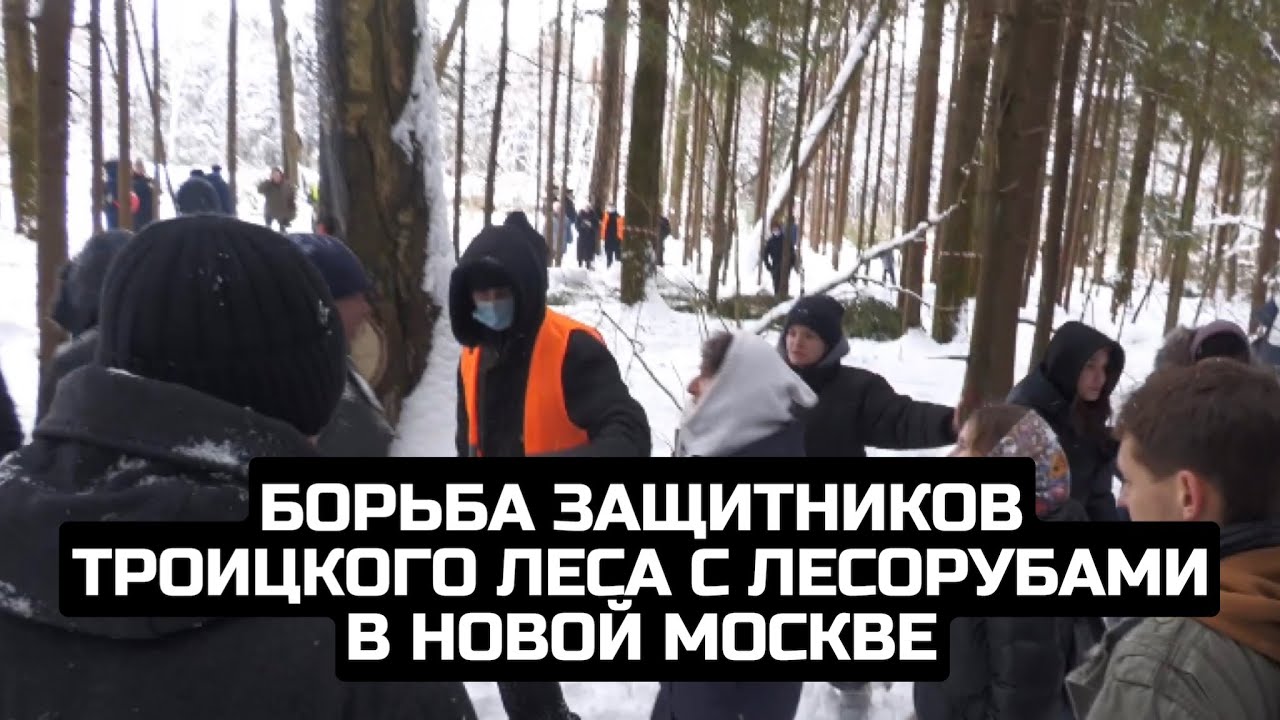 Борьба защитников Троицкого леса с лесорубами в Новой Москве / LIVE 01.02.22