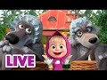 🔴 LIVE STREAM 🎬 Masha and the Bear 🧣📚 Great stories for cold days 🥶☕