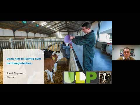 Video: Kalveren Die Mycobacterium Avium Ondersoort Paratuberculosis Afstoten, Komen Veel Voor Op Besmette Melkveehouderijen