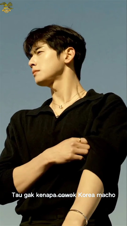 Korean men/guys have macho faces and nice bodies.