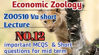 ZOO510 Vu short lecture No.12/important SQ & MCQs for Mid term