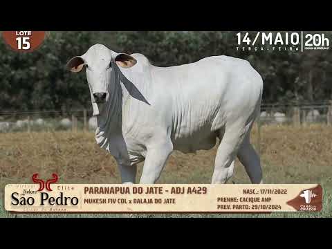 LOTE 15   ADJ A429