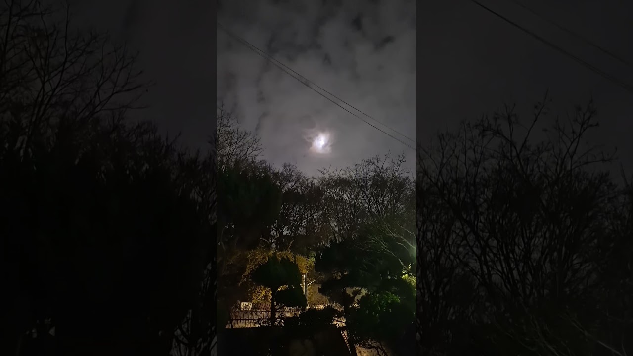 #달아 안녕👸👀❤️🙌🙌👀