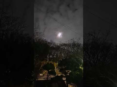 #달아 안녕👸👀❤️🙌🙌👀