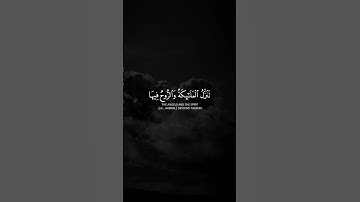 تلاوة هادئة الشيخ ياسر الدوسري 🤍🩶🌿🎧#راحة_نفسية_قرآن #راحه_وطمأنينه_للقلب