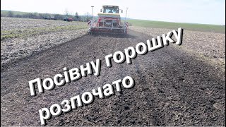 Посів гороху 🫛2024 розпочато. Пйотінгер сила, щоразу він дивує по своєму.