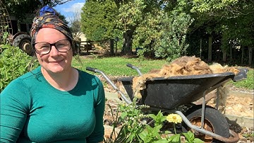 Using Wool Mulch in the Vegetable Garden