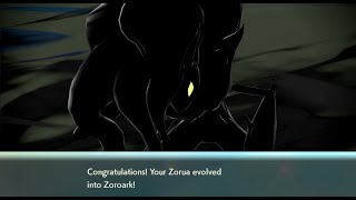 Evolving SHINY Hisuian Zoura & Zoroark Shiny Comparison