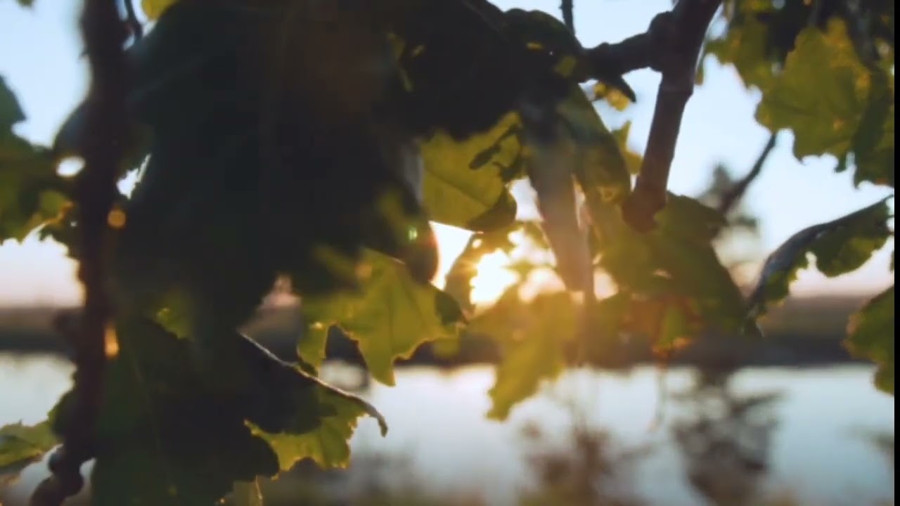 ملخص كتاب السر…… (قانون الجذب باختصار)